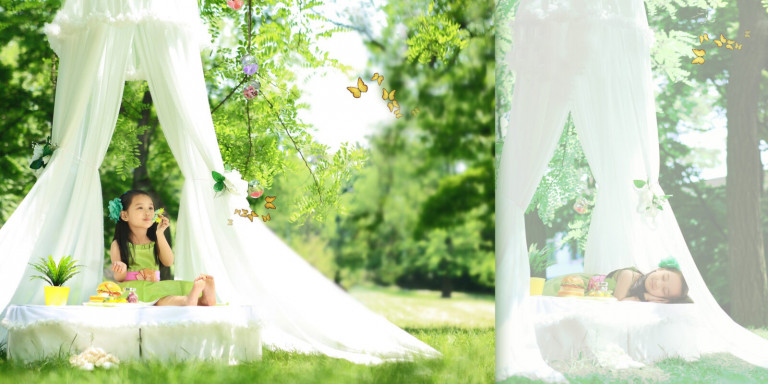 昭和記念公園１